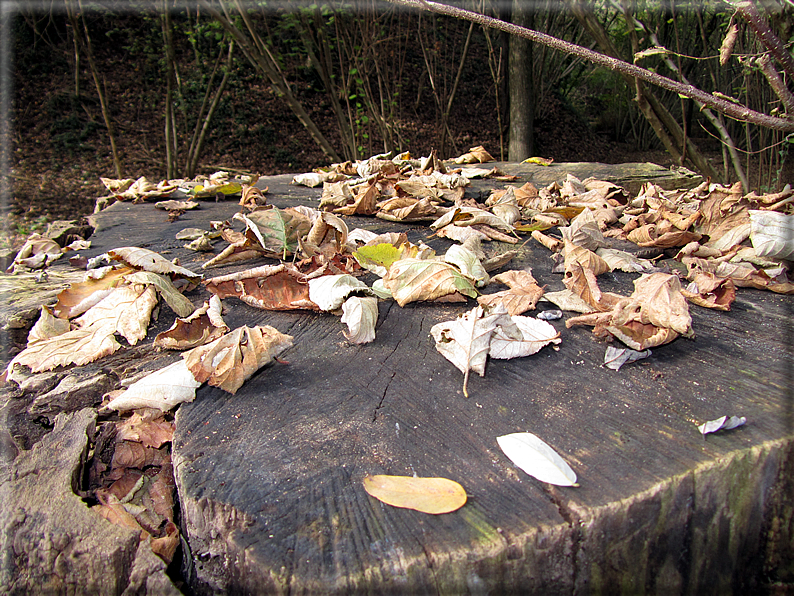 foto Colli Asolani in Autunno